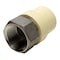 Apollo 3/4 in. x 3/4 in. CPVC CTS Slip Stainless Steel FPT Adapter CPVCFA34 - alternate 4